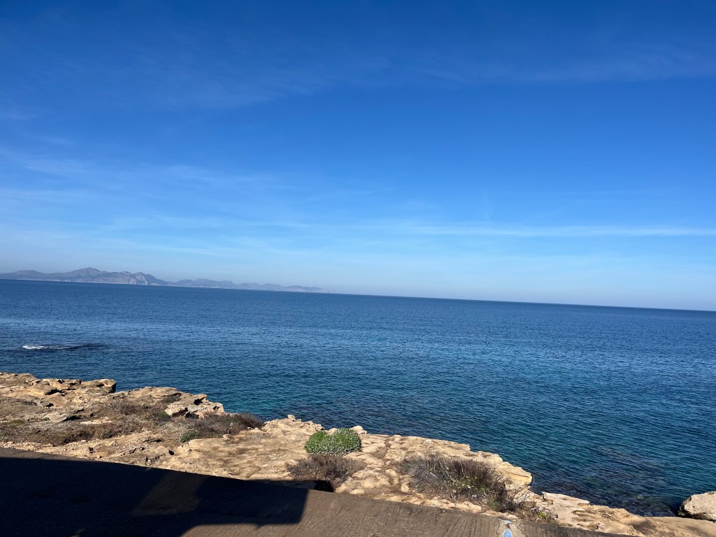 Mallorca Trainigslager 🌴